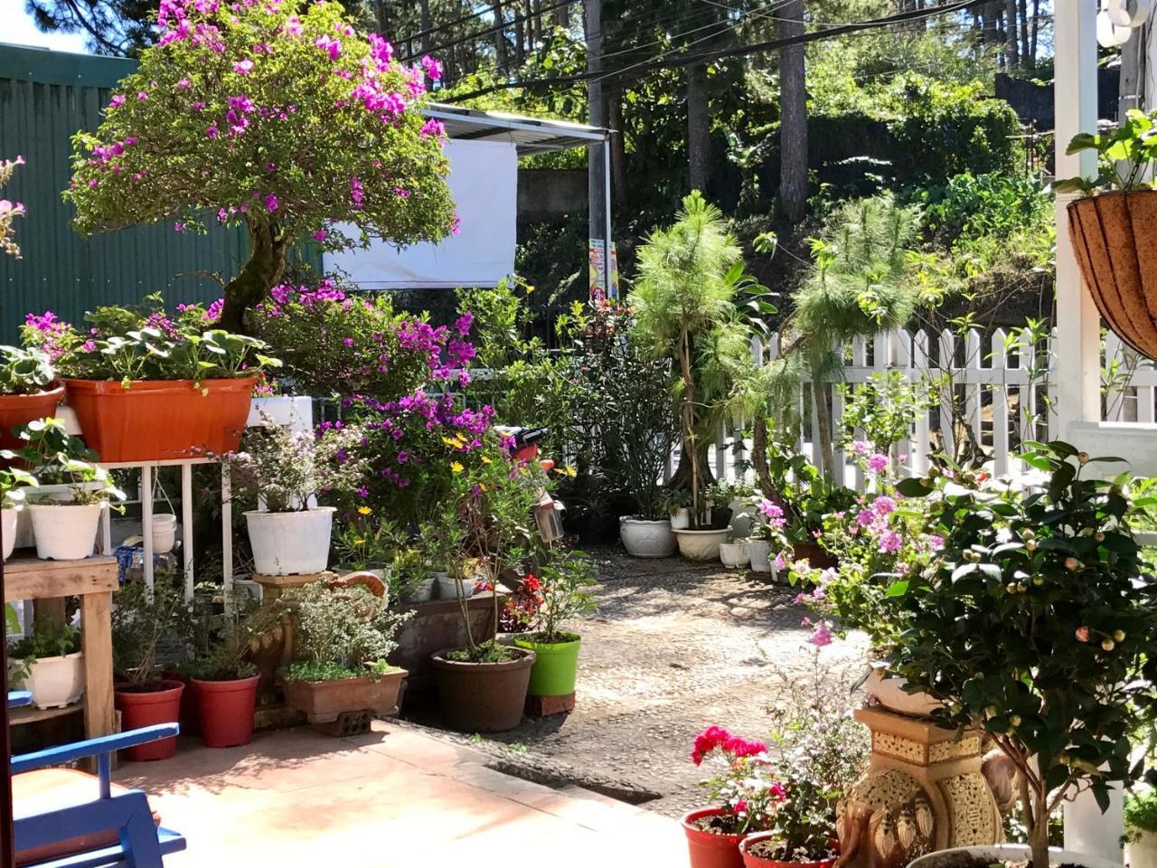 Dalat Coffee House Homestay Extérieur photo